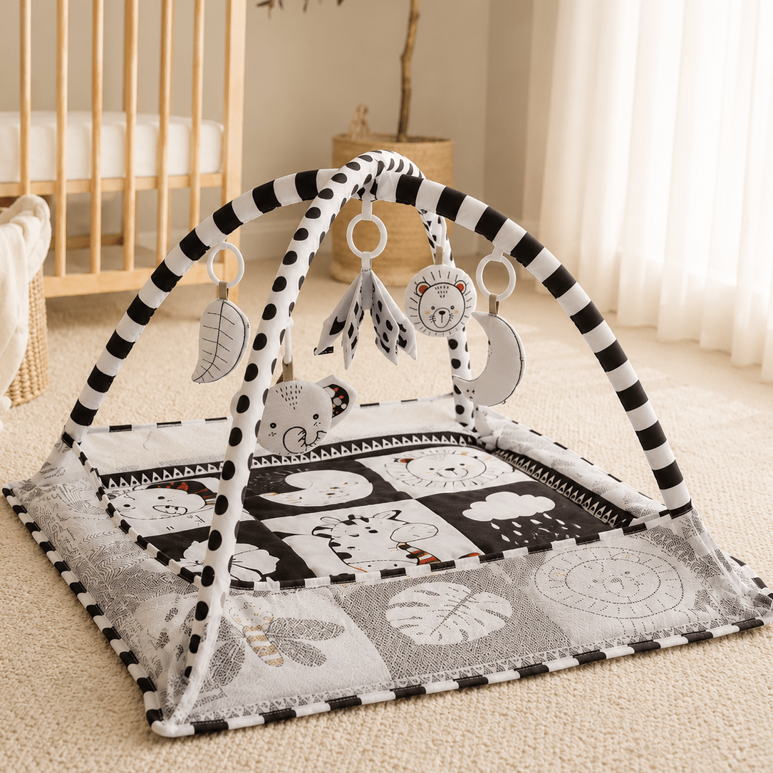 PlayArch — Baby Play Mat & Activity Gym with Hanging Toys